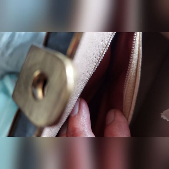 Vintage Reptile Purse Distressed - Picture 12 of 13